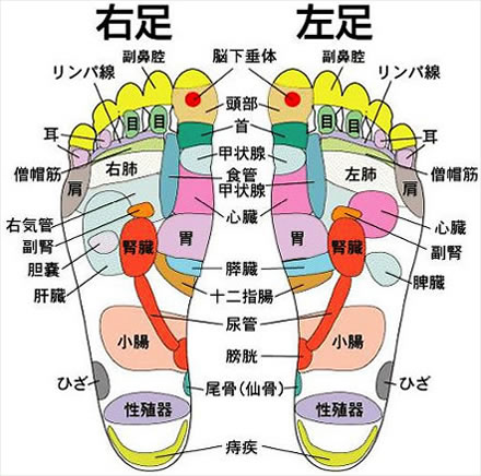 足の裏ツボ早見図